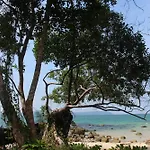 Nature Beach